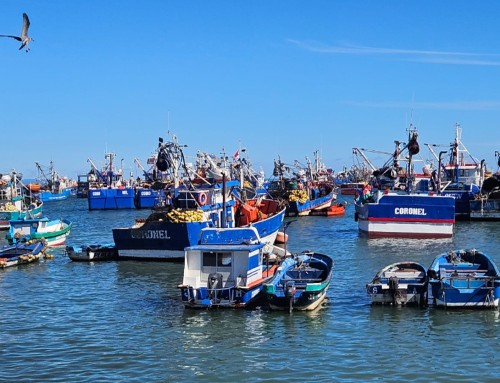 «Defendemos los 140.000 trabajos de la pesca artesanal que están en riesgo sin una buena Ley de Fraccionamiento»