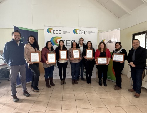 Centro de Emprendimiento de Colbún culmina programas de formación para emprendedores con apoyo académico y capital semilla